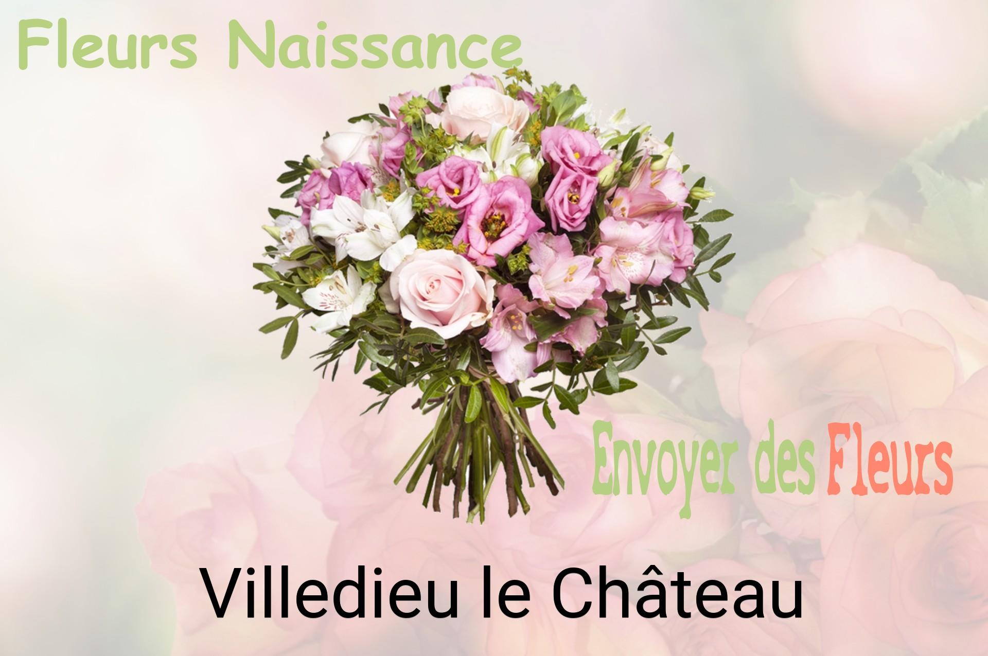 Bouquet de fleurs de naissance livré à Villedieu-le-Château