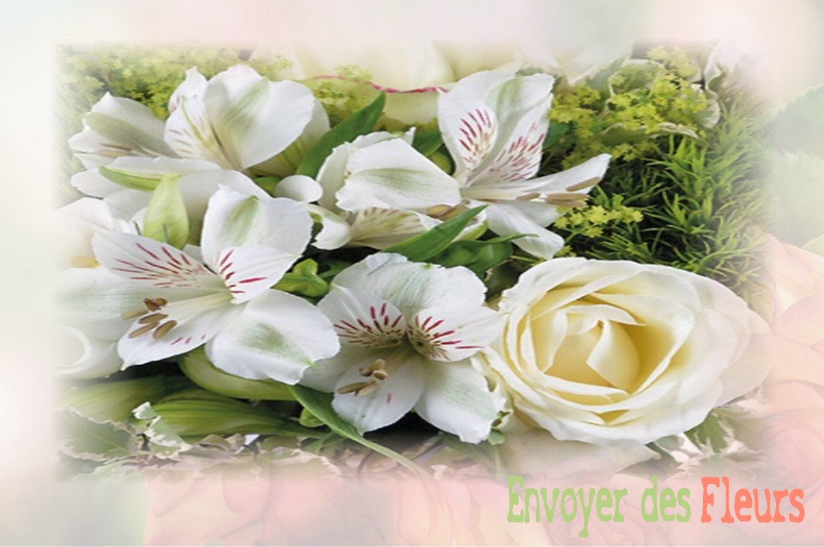 envoyer des fleurs à à VILLEDIEU-LE-CHATEAU