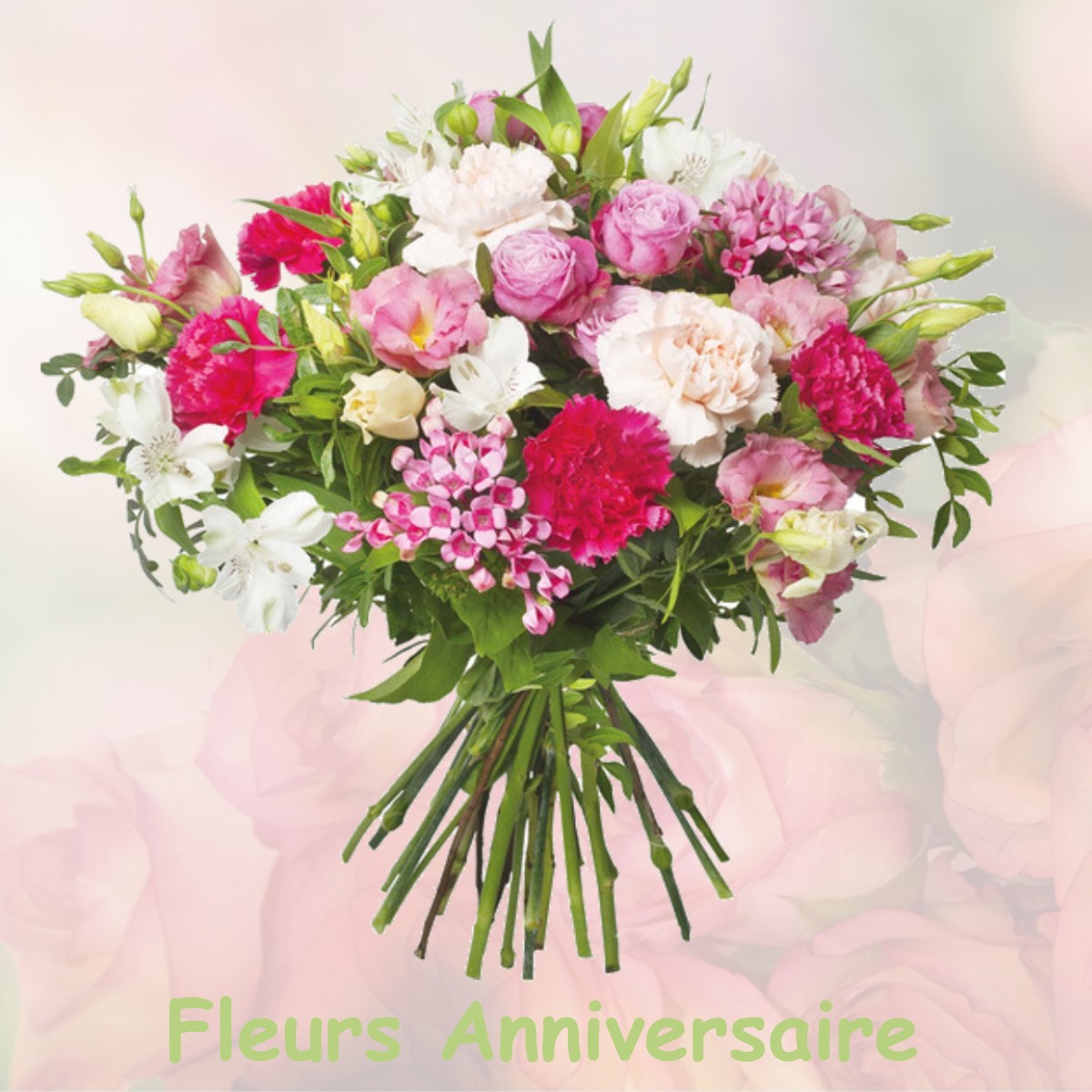 fleurs anniversaire VILLEDIEU-LE-CHATEAU